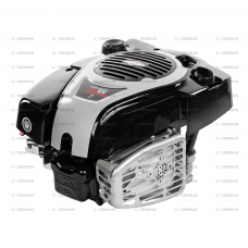 Variklis Briggs &; Stratton  BS750EX